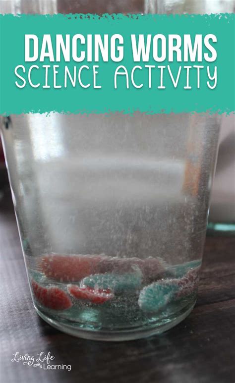 Dancing Worms Activity Living Life And Learning Worm Science Experiments - Worm Science Experiments