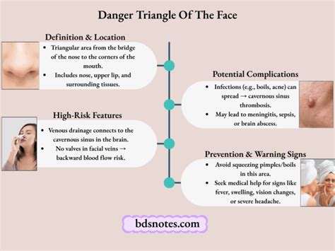 Danger Triangle Of The Face