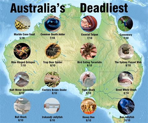 Dangerous Creatures In Australia