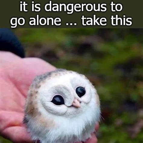 dangerously alone