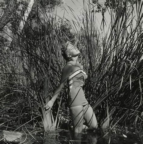 dani crayne biography of mahatma