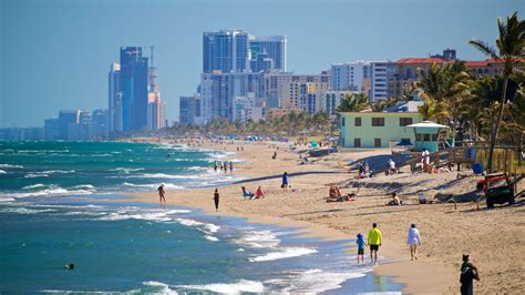 dania florida