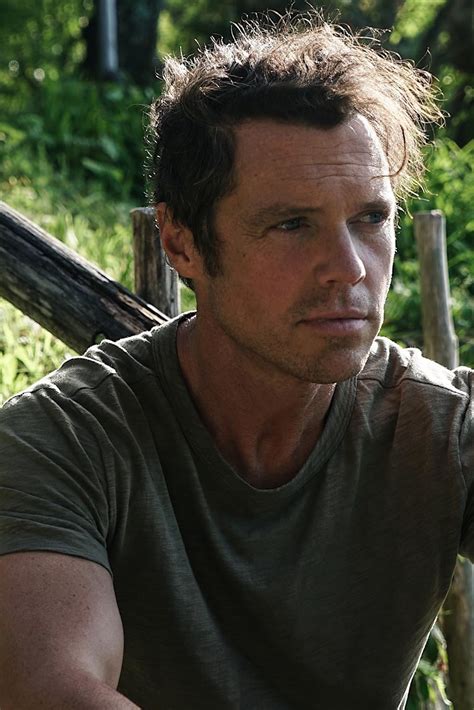 daniel stine biography