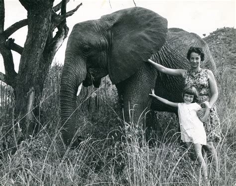 daphne sheldrick wiki
