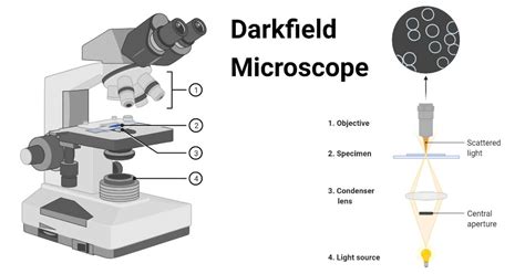 Dark Field Microscope Principle