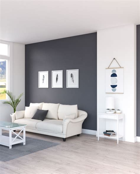 Dark Gray Accent Wall Living Room