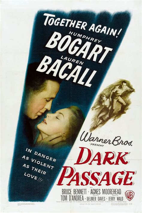 Dark Passage Imdb