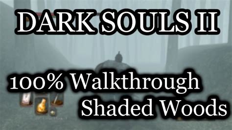 Dark Souls 2 100 Walkthrough