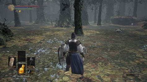 Dark Souls 3 Swamp Walkthrough