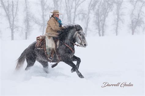 darrell gulin biography