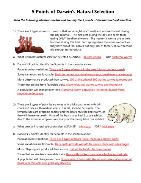 Darwin 8217 S Natural Selection Worksheet Answer Key Darwin Natural Selection Worksheet Answers - Darwin Natural Selection Worksheet Answers