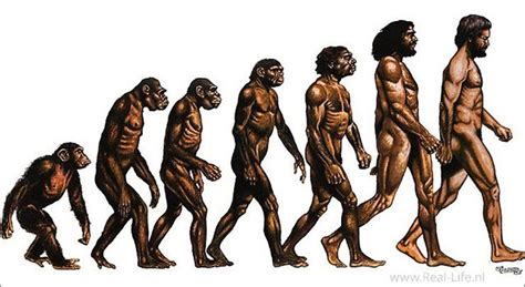 darwin evolutietheorie