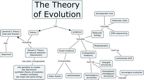 darwin evolution concept map