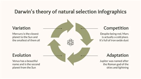 Darwin S Theory
