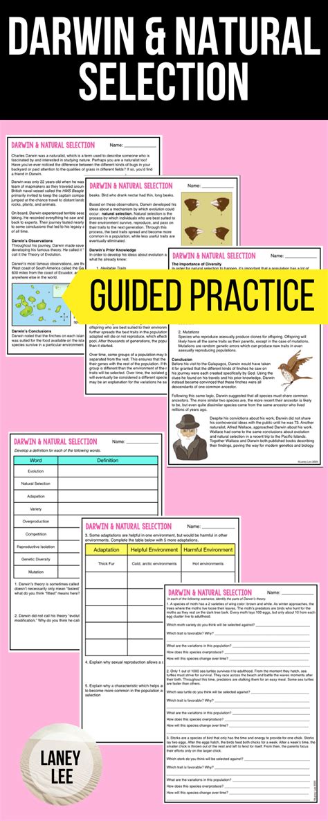 Full Download Darwin Natural Selection Worksheet Answer Key 