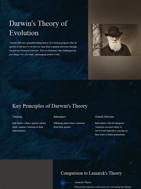 Darwins Theory Of Evolution Packet Answers