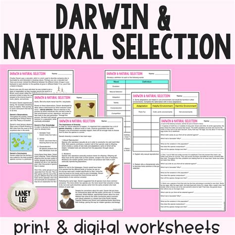Darwinu0027s Natural Selection Worksheet Laney Lee Darwins Natural Selection Worksheet Answers - Darwins Natural Selection Worksheet Answers