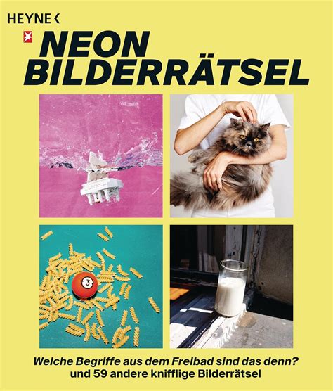 das neon bilderratsel welche begriffe aus dem fre