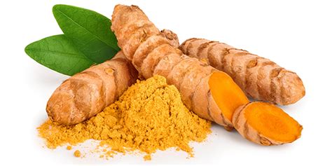 Das Gewürz des Lebens