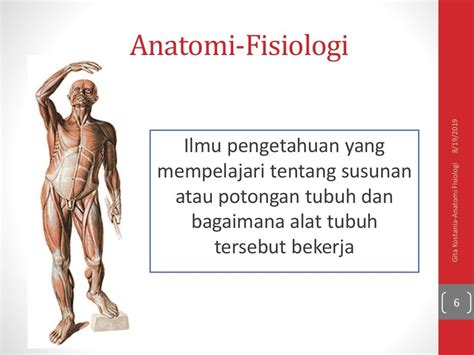 Read Online Dasar Dasar Anatomi 
