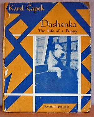 Read Online Dashenka Or The Life Of A Puppy 