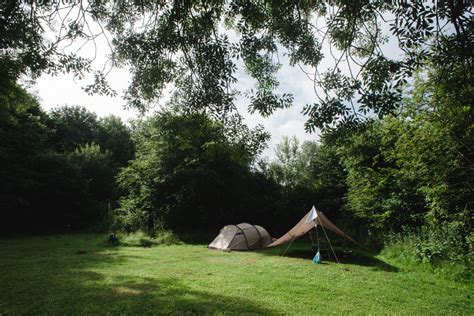 dasselaar geschiedenis