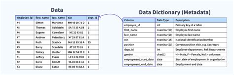 data dictionary for hostel management system