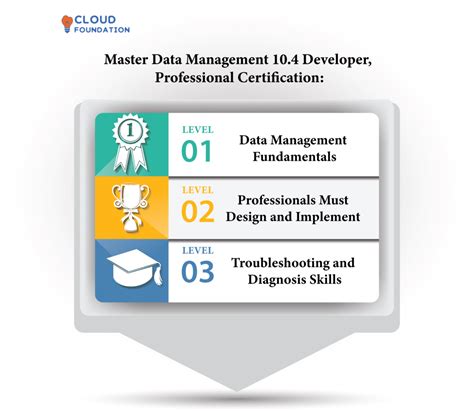 Data Management Professional Certification Overview