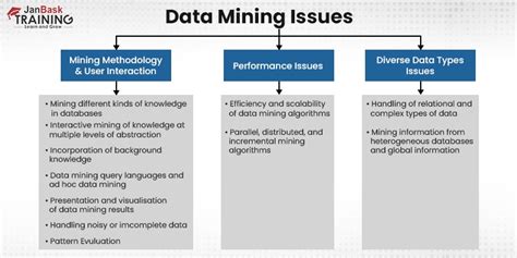Data Mining Issues
