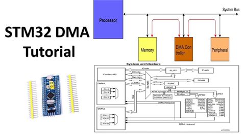 Read Data Guide Dma 