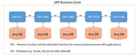 database administration sap business suite on sap