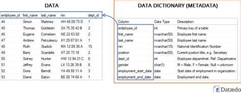 Database Catalog Or Dictionary Defining Descriptive
