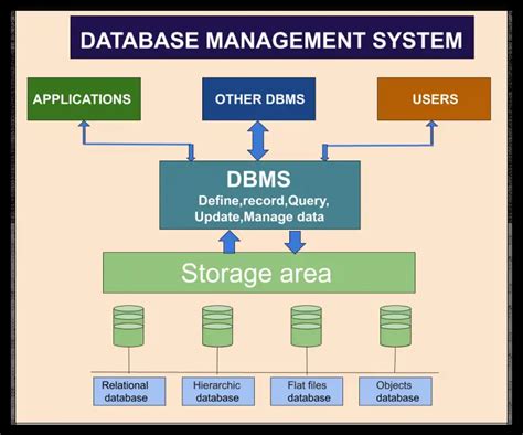 database management systems term project proposal report