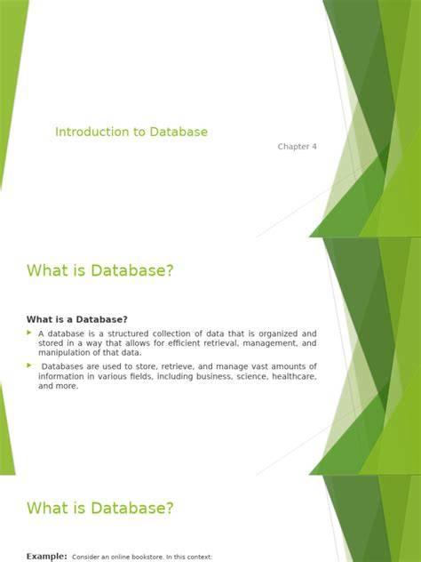 Database Processing Answers Chapter 4