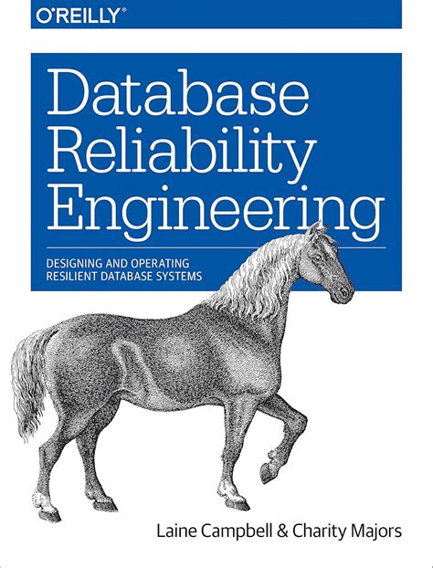Database Reliability Engineering Designing And Operating Resilient Database Systems
