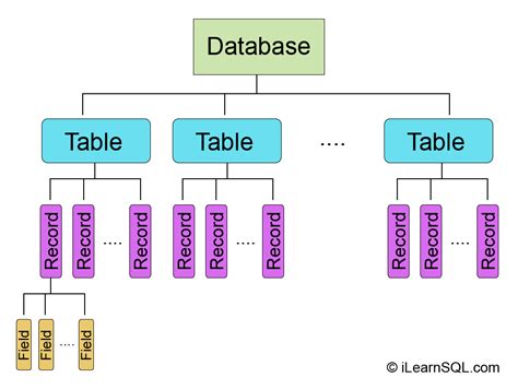 database structuur