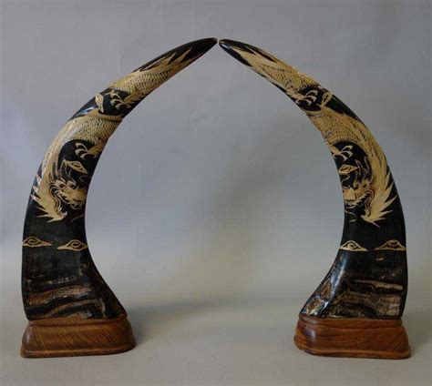 dating chinese water buffalo horn
