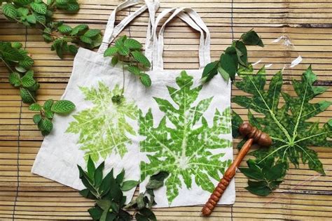 daun ecoprint | u c m vch Ecoprint havietpro