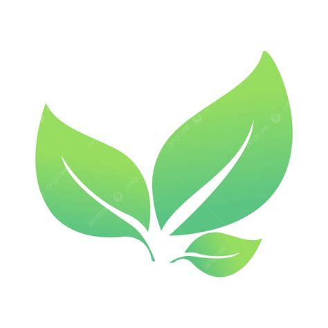 daun vector | 8 website download vector min ph dnh