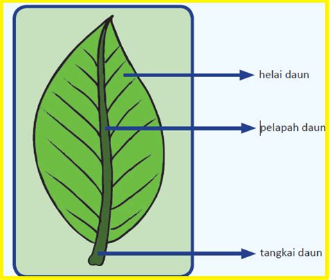 DAUN 123 - Daun123 Situs Gacor dan Terpercaya Mudah Depo dan Wede Pasti