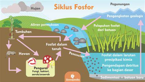 daur fosfor | PDF HS Code 2012 Uraian Barang Description