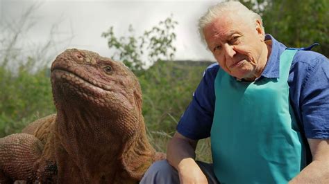 David Attenborough Evolution