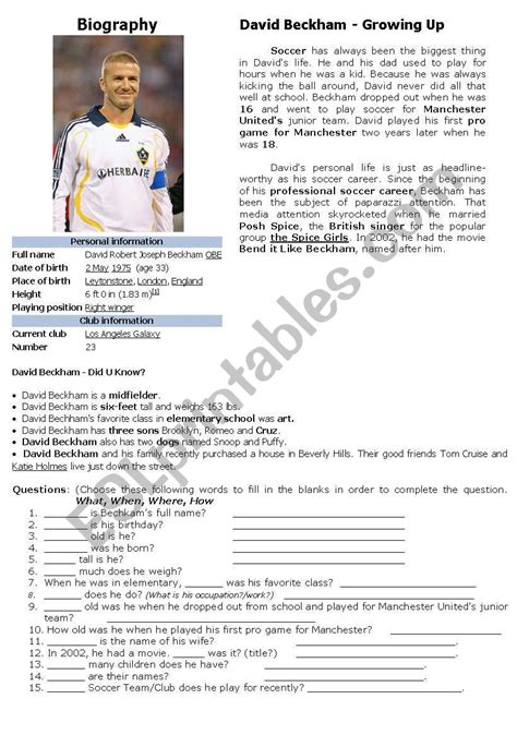 david beckham biography summary worksheet