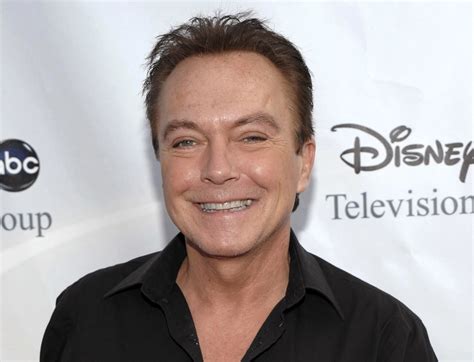 david cassidy bio