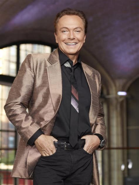 david cassidy biography imdb database