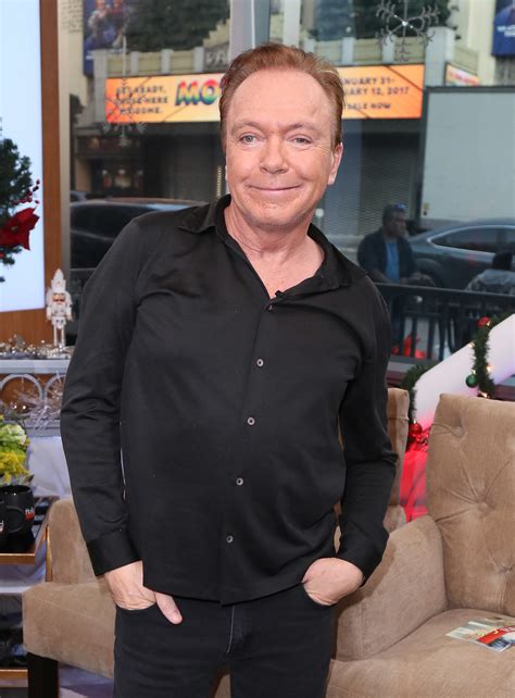 david cassidy gay