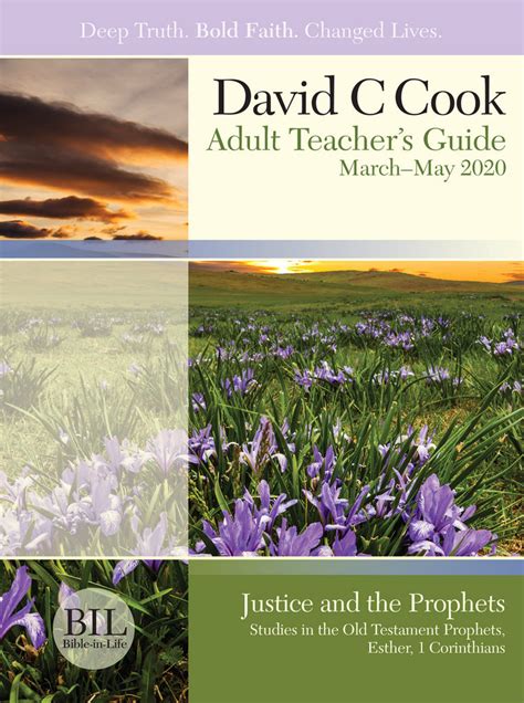 David Cook Curriculum