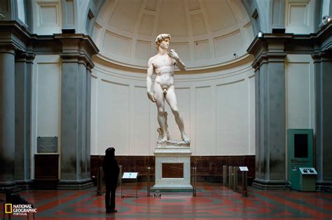 David D