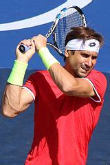 david ferrer wikipedia fr