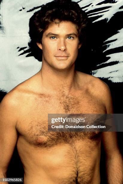 david hasselhoff nude